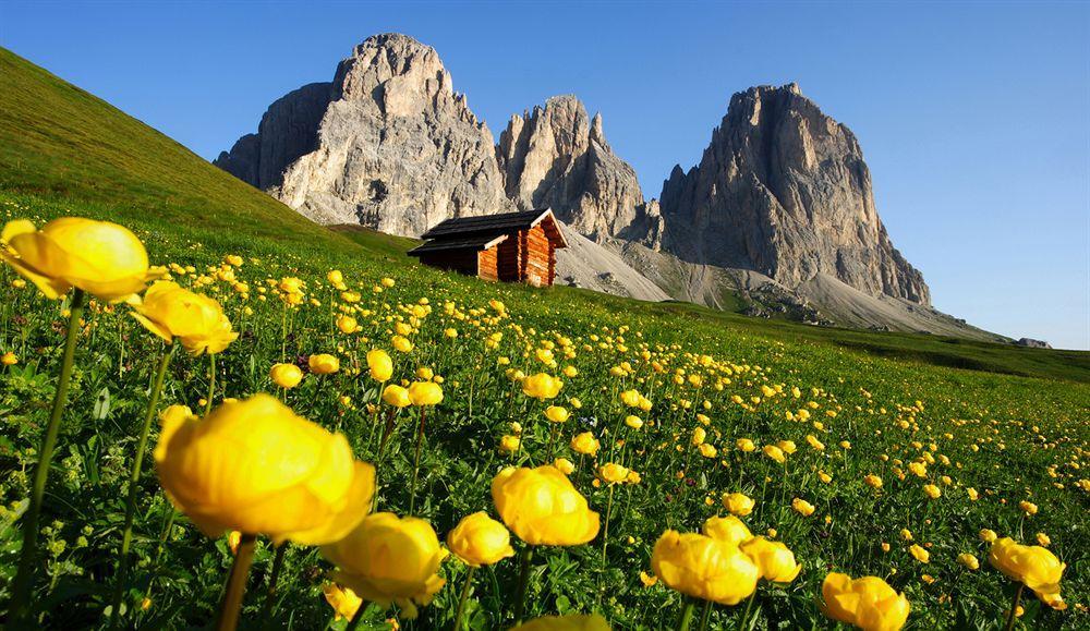 Residence Rododendro Passo San Pellegrino Buitenkant foto